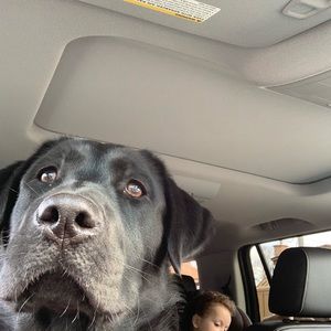 Meet your Posher, Mary